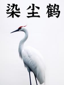 染尘读书